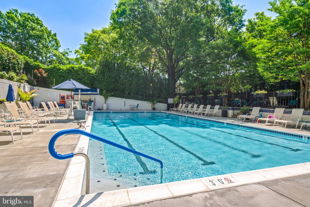 200 LOCUST STREET Unit: 16DN