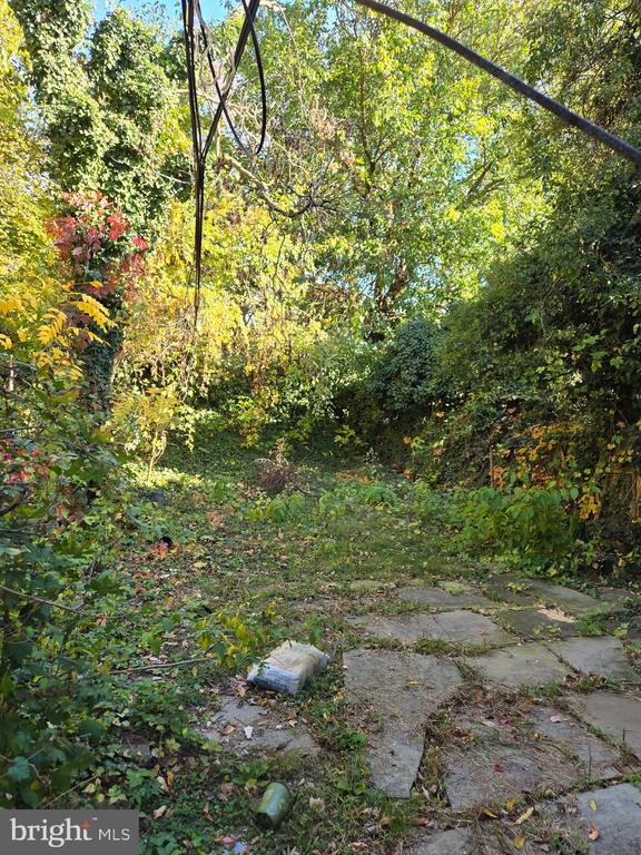 5211 RIDGE AVENUE Unit: 3