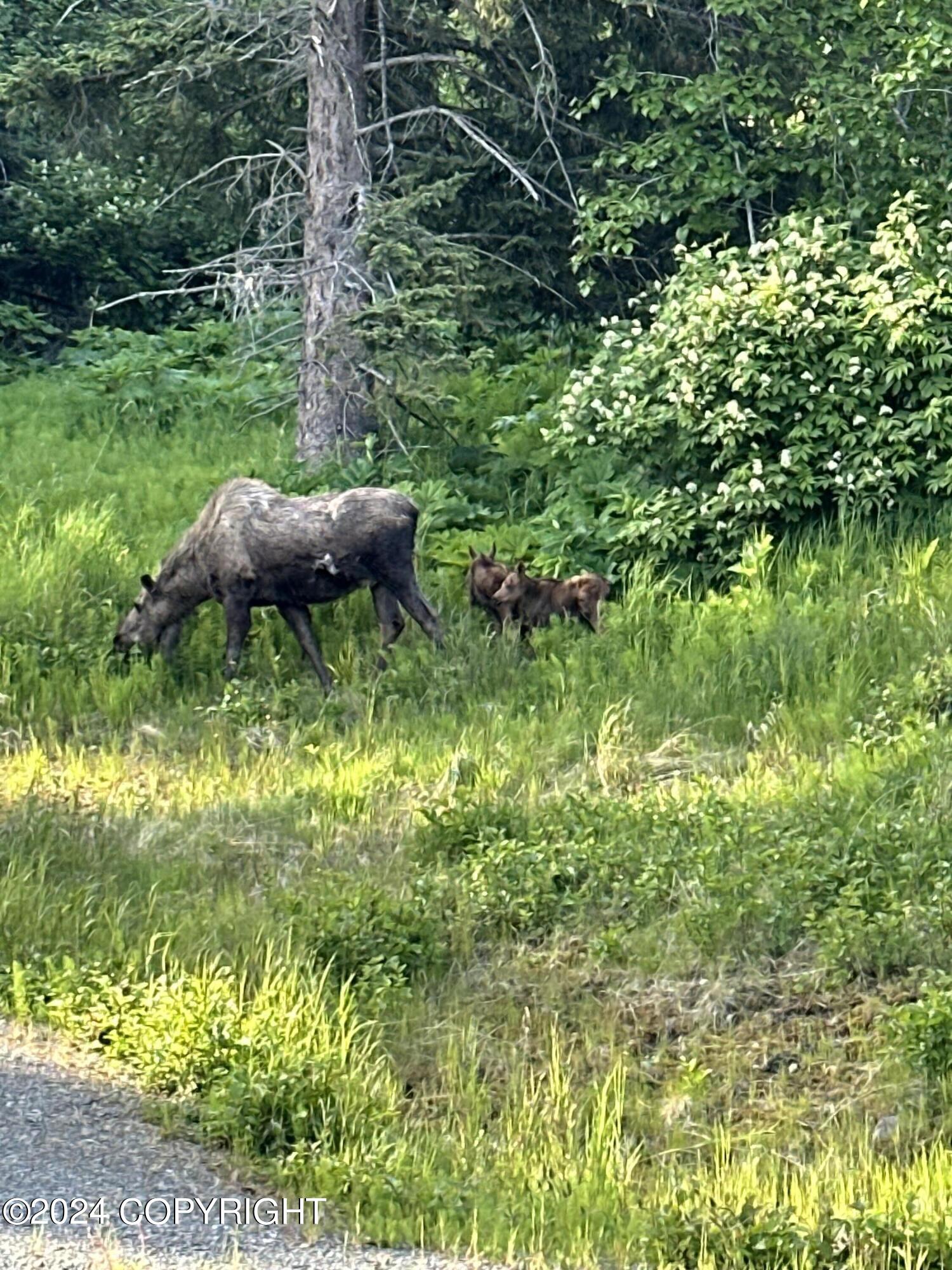 1546 Sterling Highway