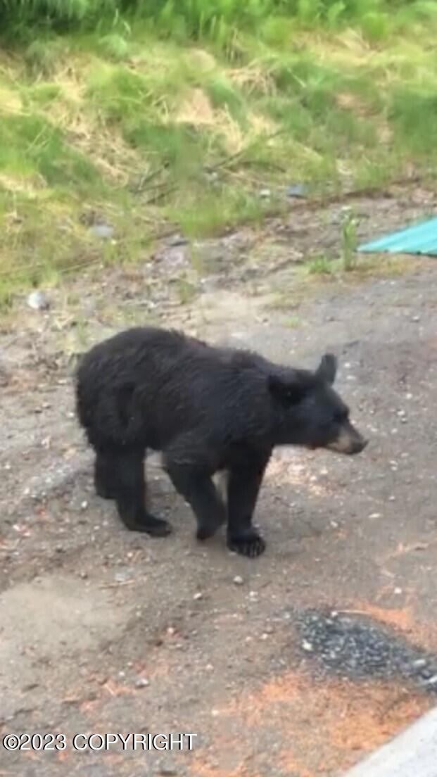 1546 Sterling Highway