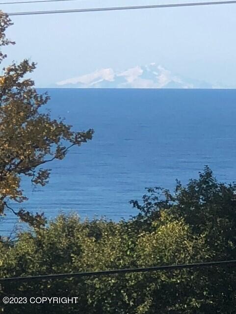 1546 Sterling Highway