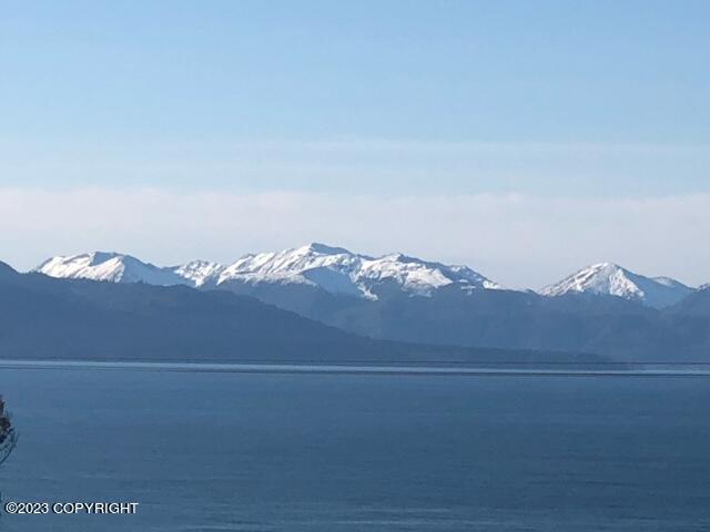 1546 Sterling Highway