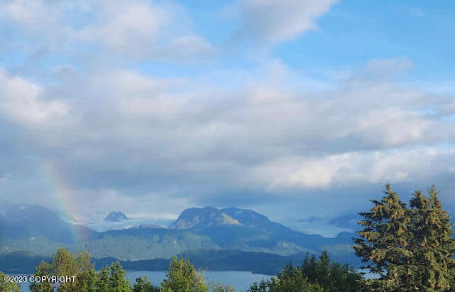 1546 Sterling Highway