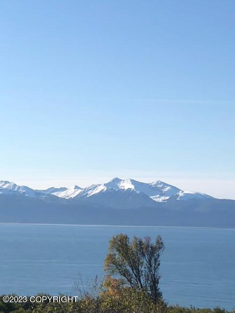 1546 Sterling Highway