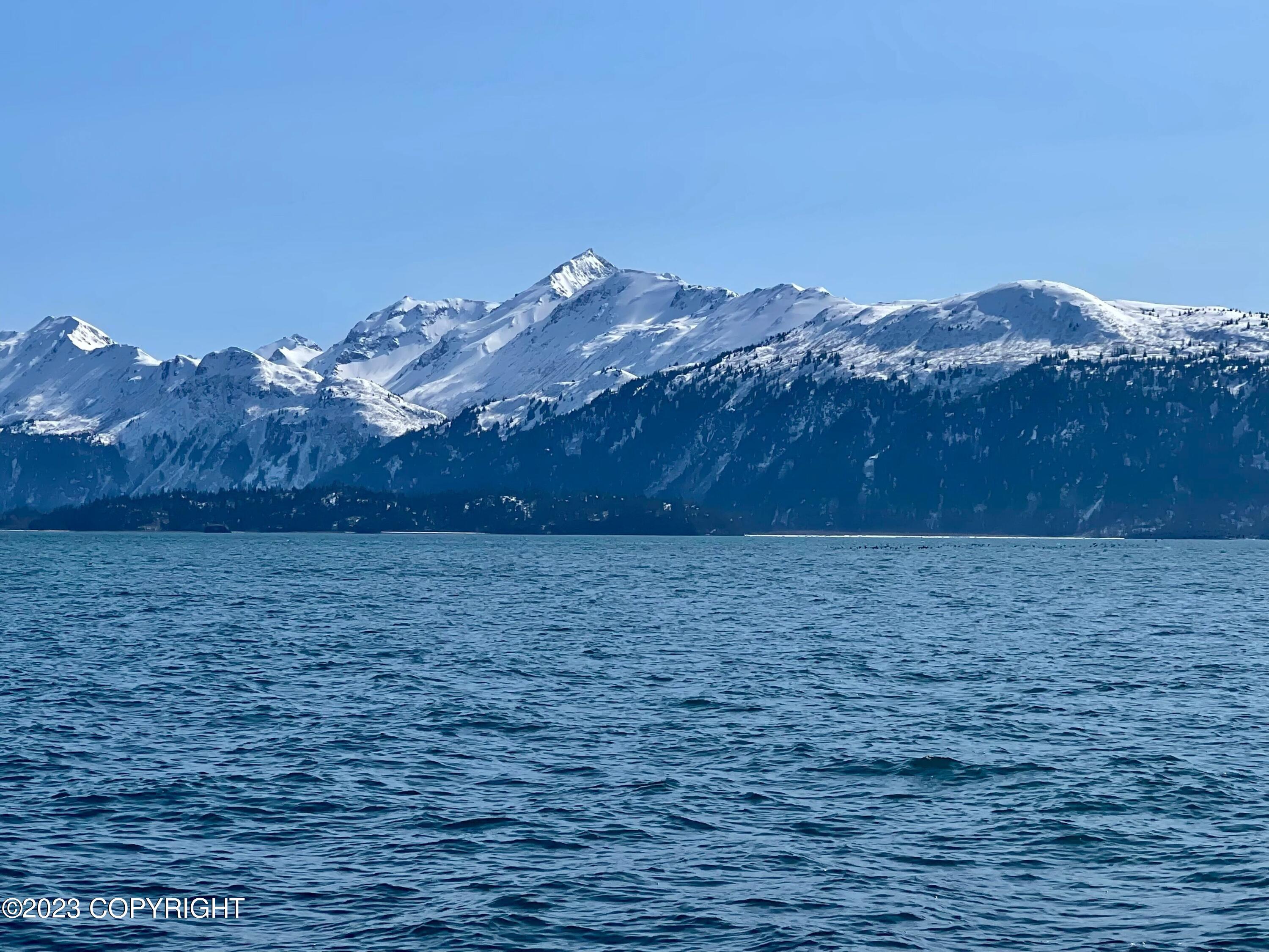 4799 Homer Spit Road Unit: 721