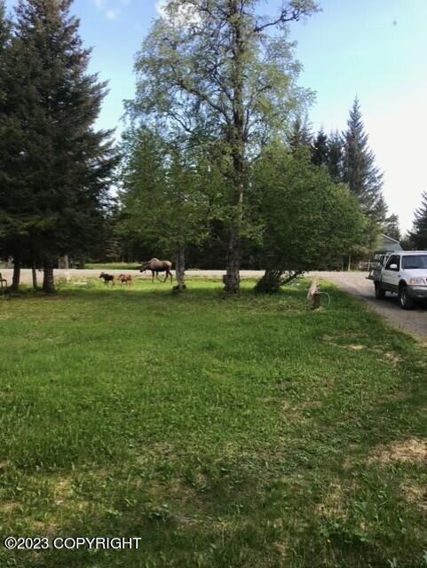 70590 Peggy Drive