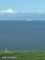 67480 Halibut Road, Ninilchik