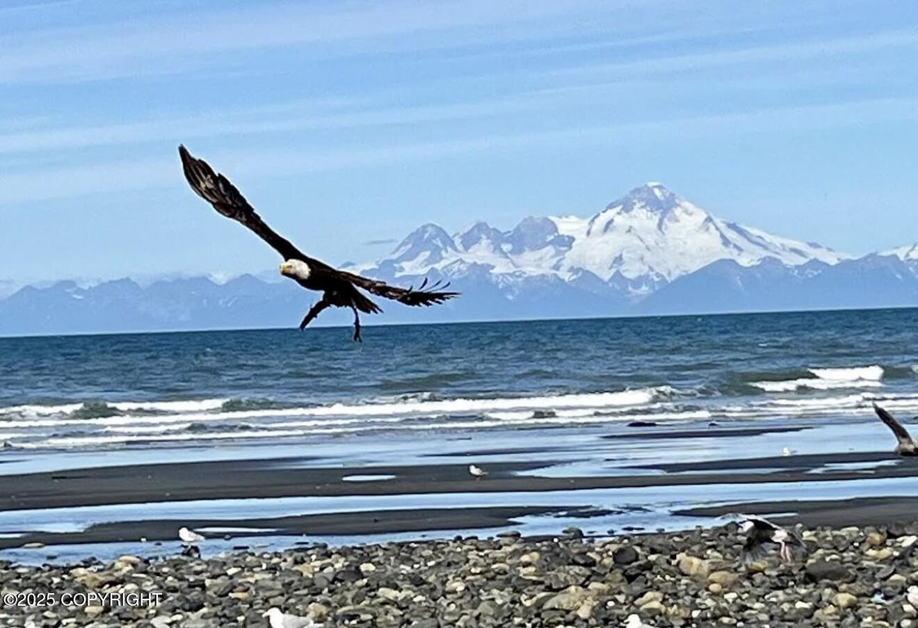 67480 Halibut Road, Ninilchik