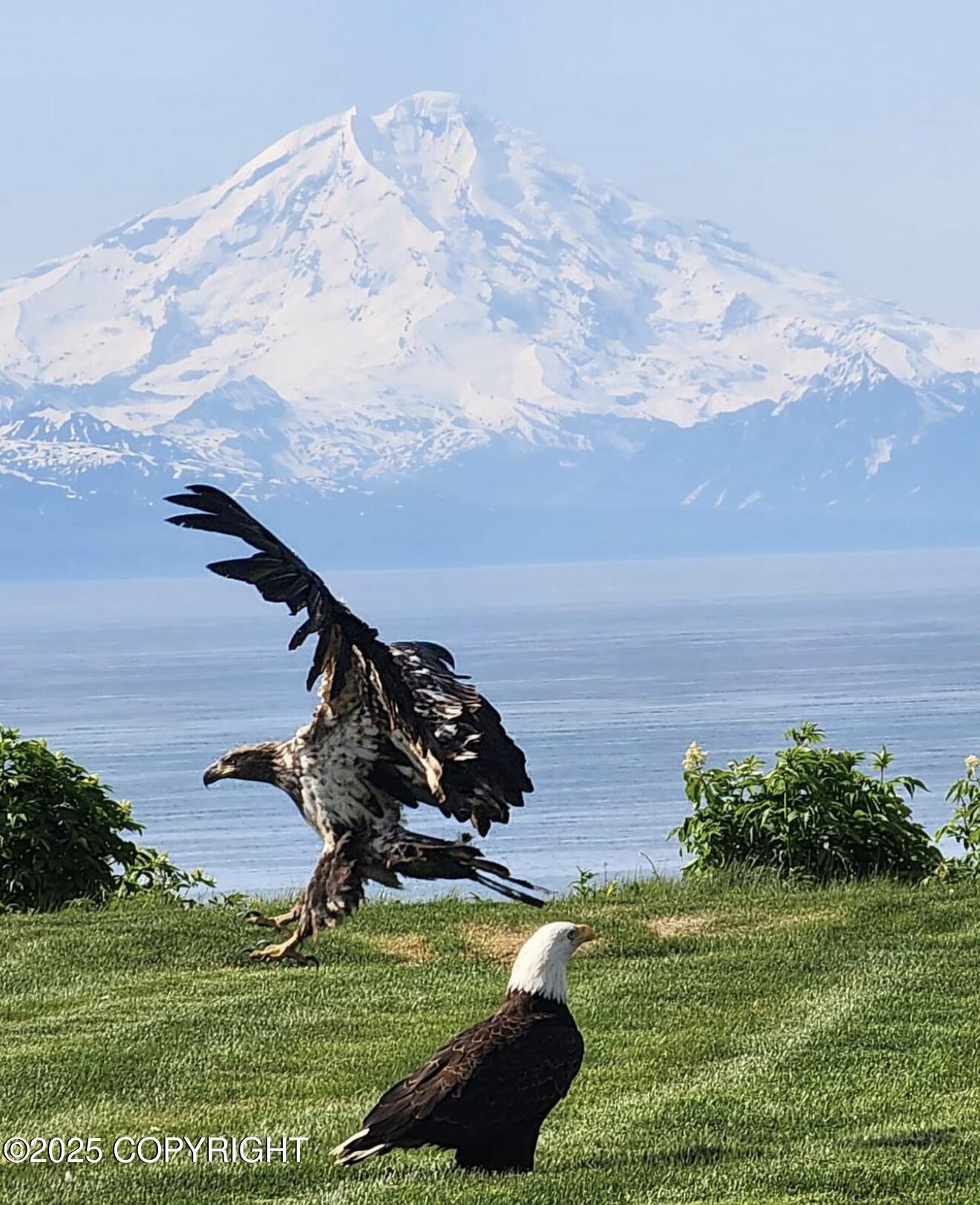 67480 Halibut Road, Ninilchik