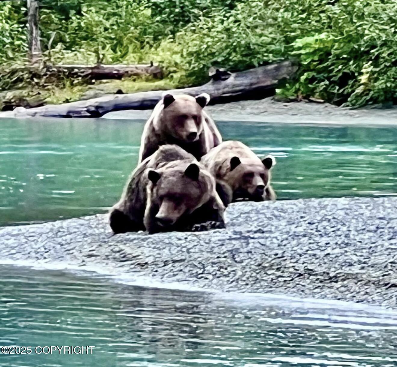 67480 Halibut Road, Ninilchik