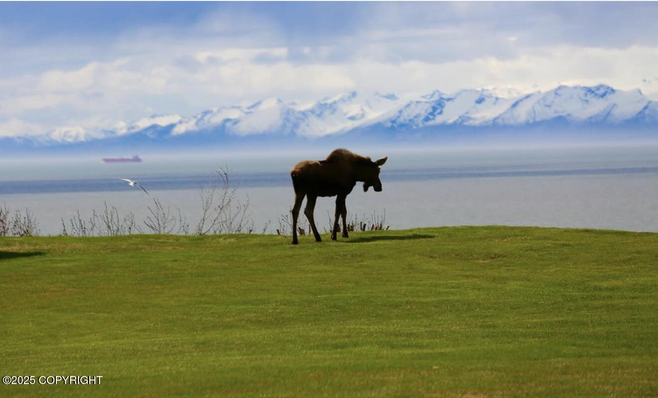 67480 Halibut Road, Ninilchik