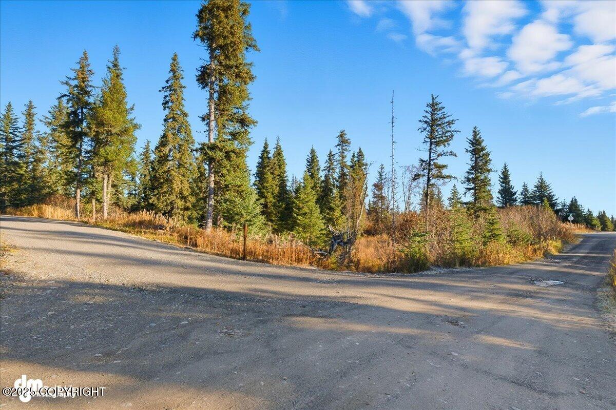 69288 Melody Way, Anchor Point