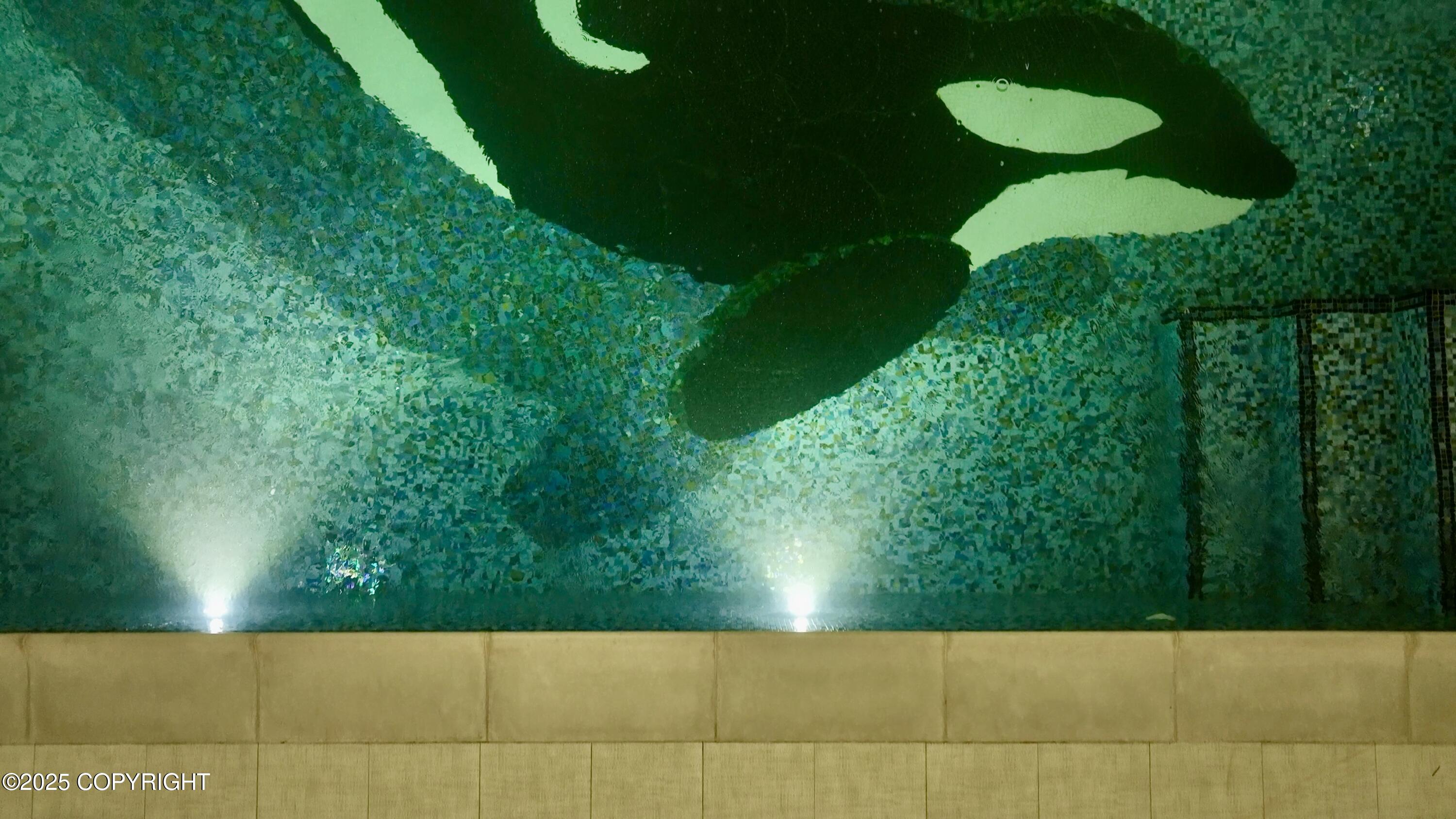 210 W Fairview Avenue, Homer