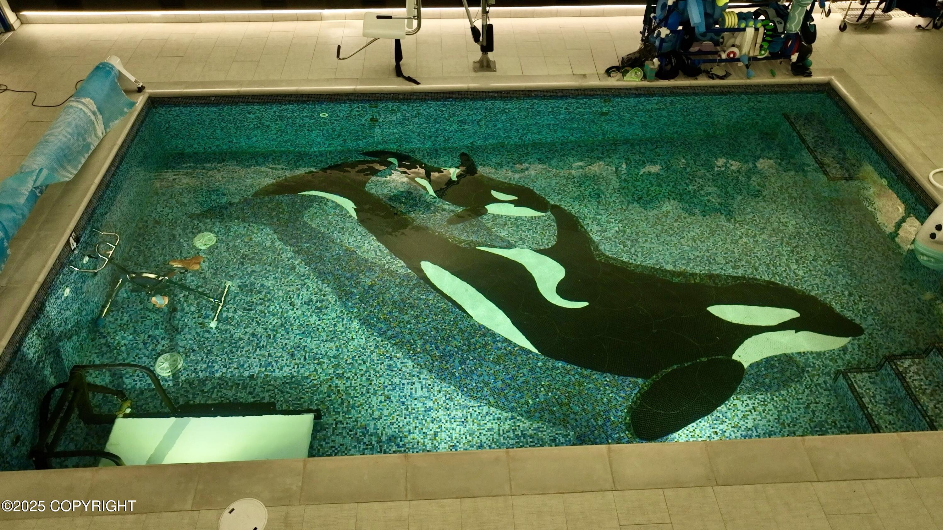 210 W Fairview Avenue, Homer