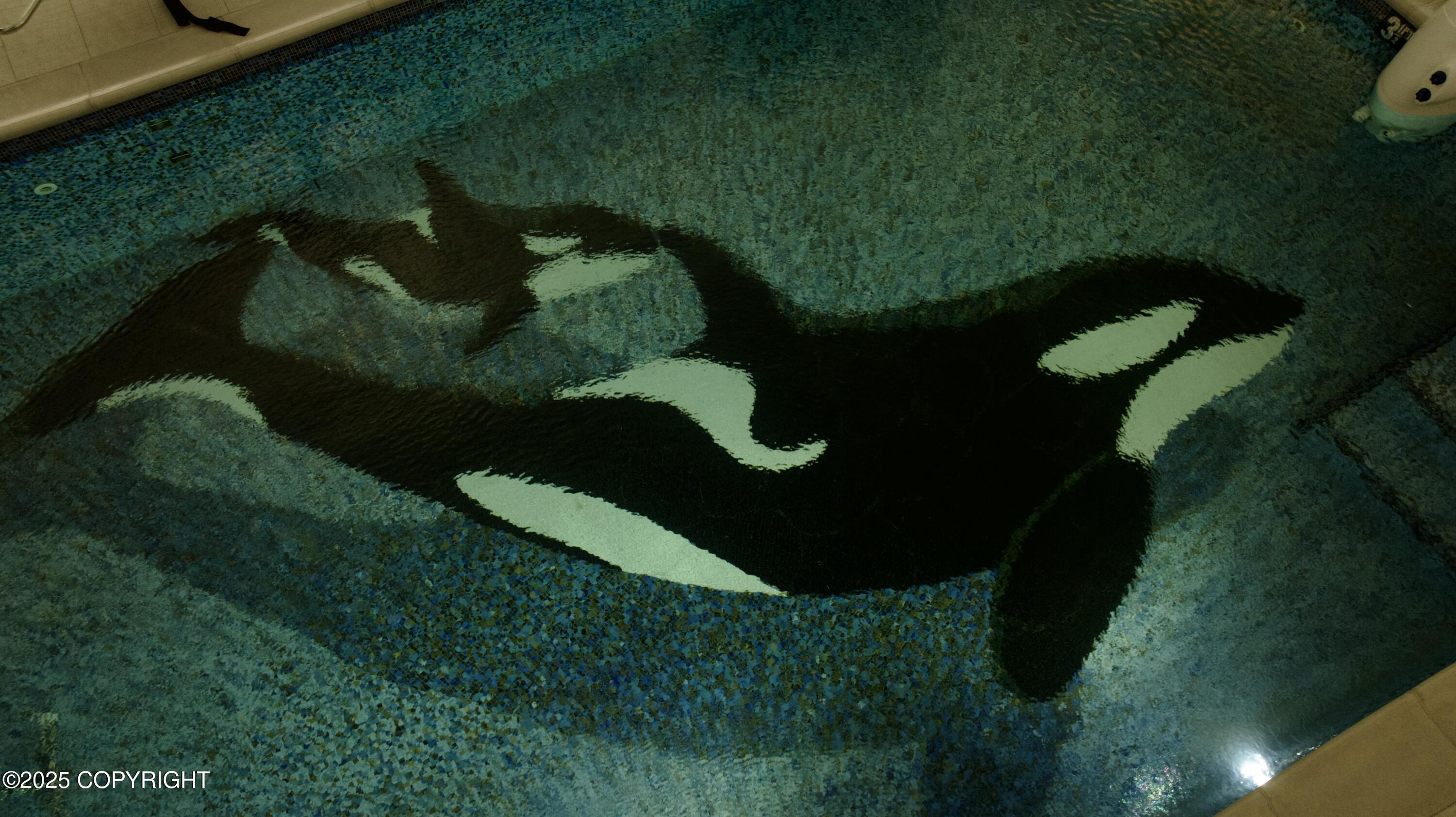 210 W Fairview Avenue, Homer