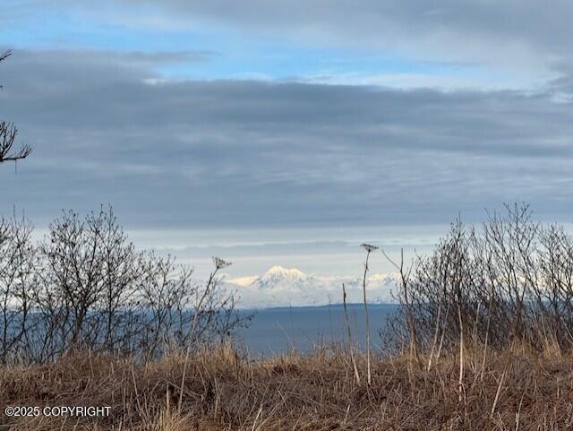 16125 Denali Circle