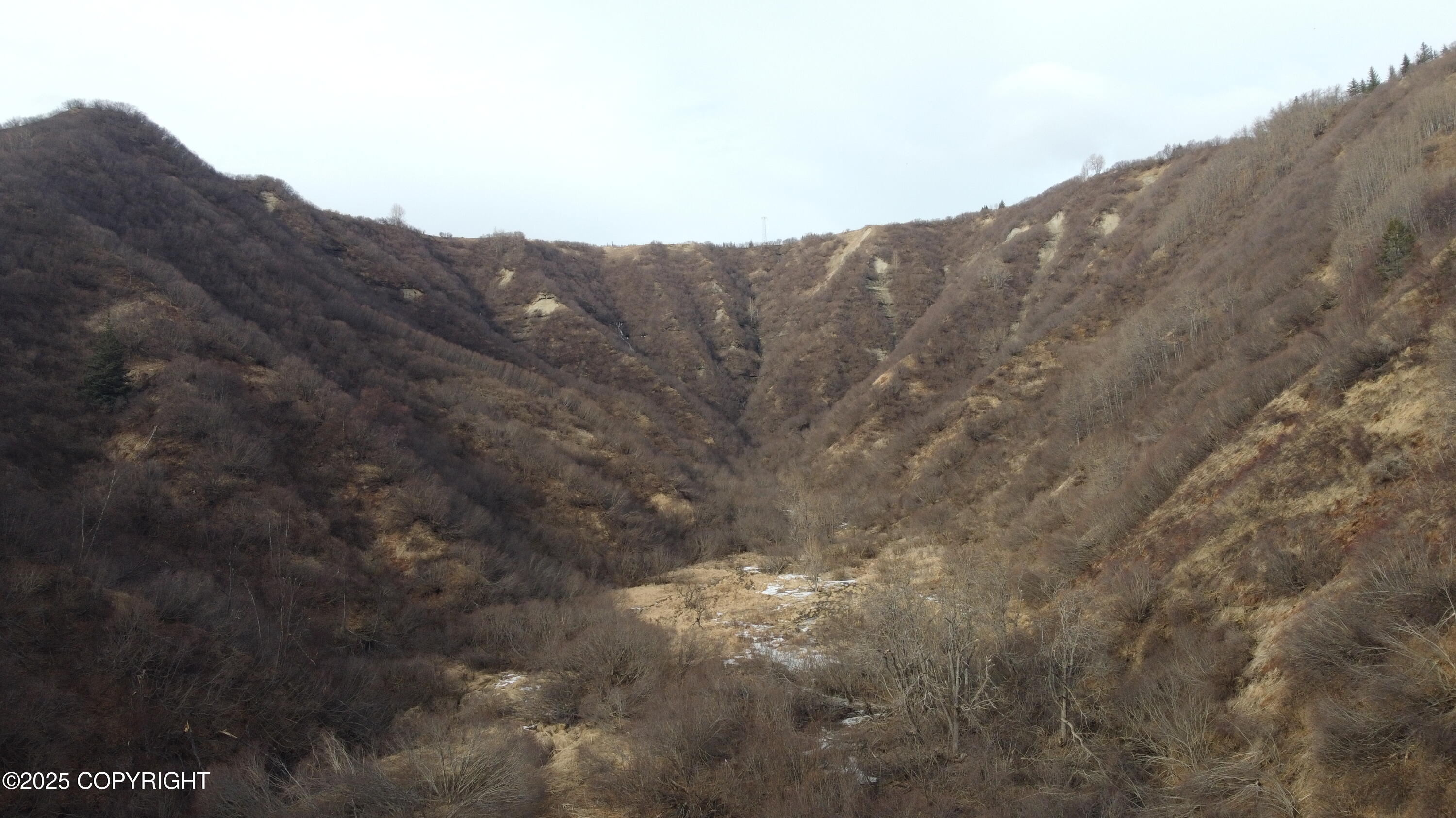 40444 Summer Star Road