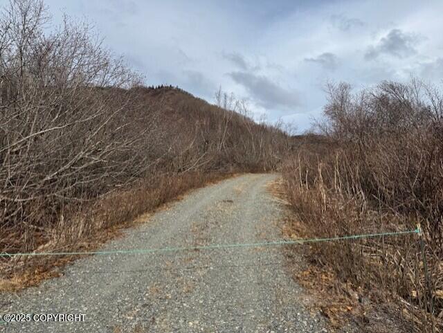 40444 Summer Star Road