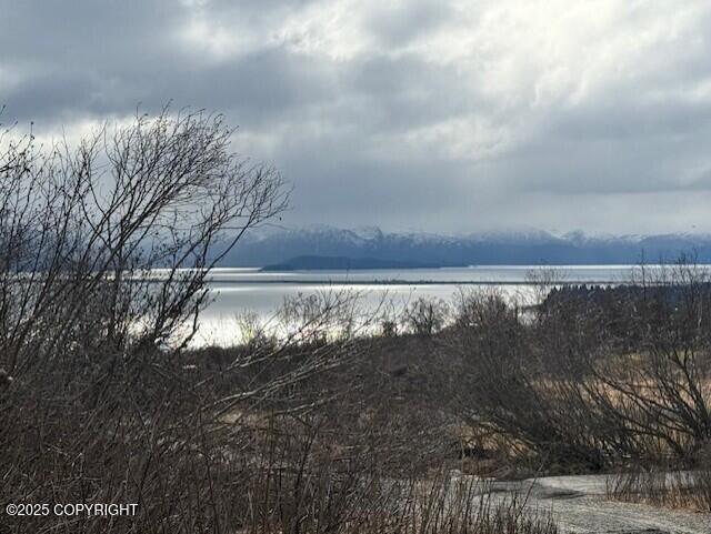 40444 Summer Star Road