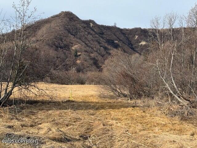 40444 Summer Star Road