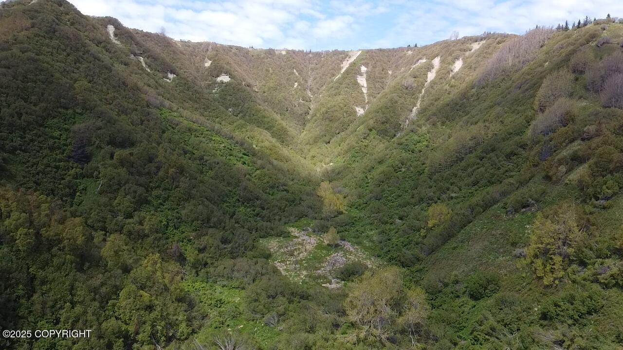 40444 Summer Star Road