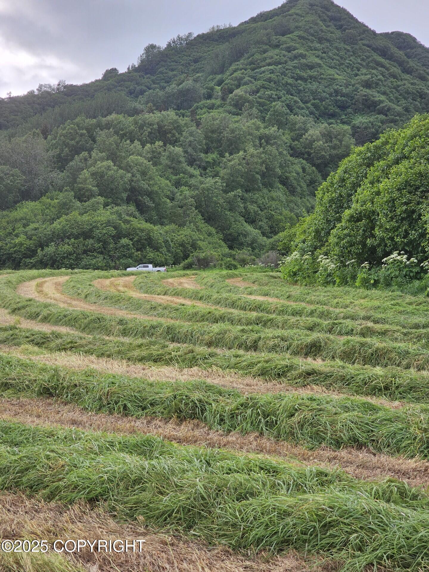 40444 Summer Star Road