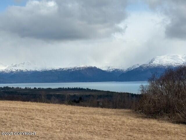 40444 Summer Star Road