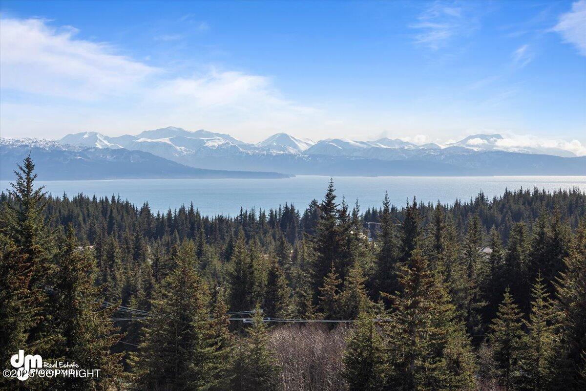 64000 Mineral Drive