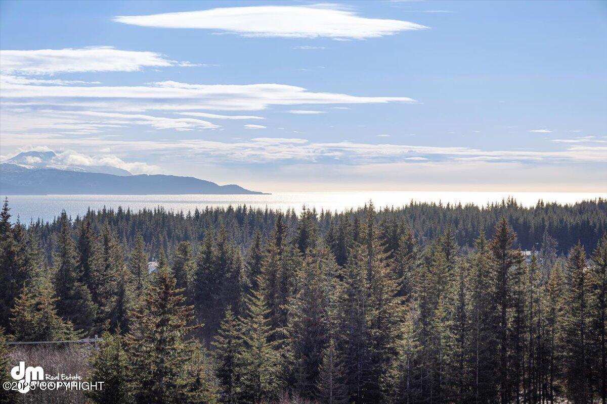 64000 Mineral Drive