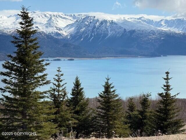 51153 Trail Mountain Road
