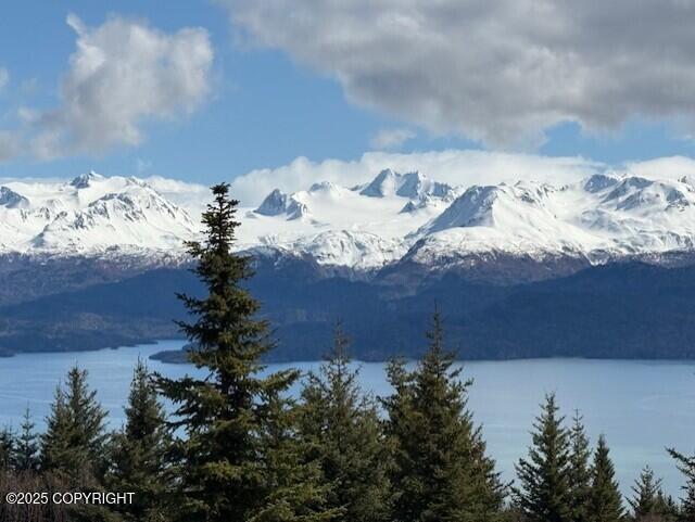 51153 Trail Mountain Road