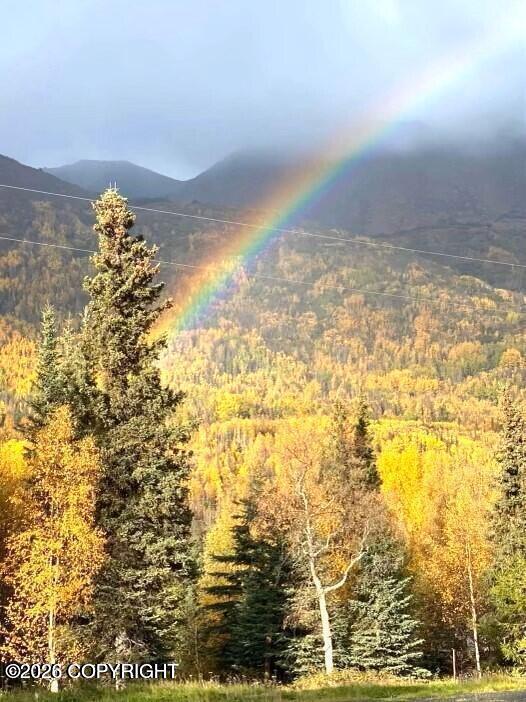 18465 Sterling Highway