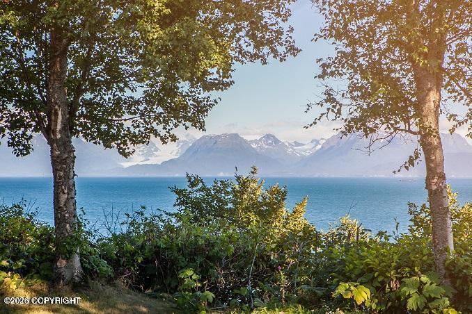 2675 Kachemak Drive