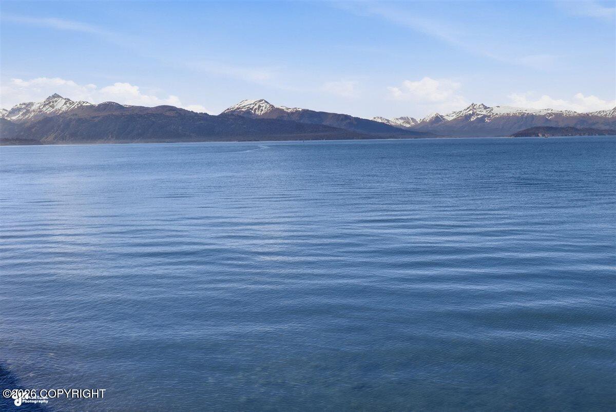 3789 Homer Spit Road