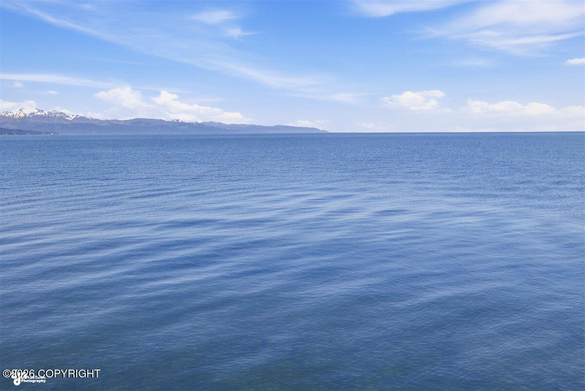 3789 Homer Spit Road