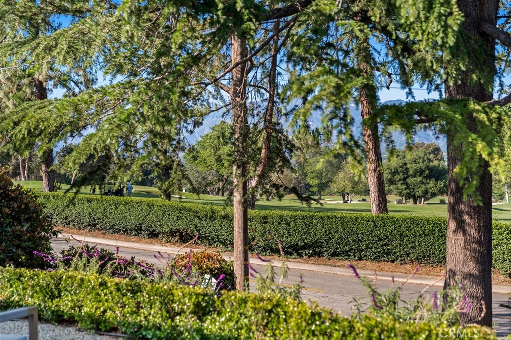 3221 Country Club Drive