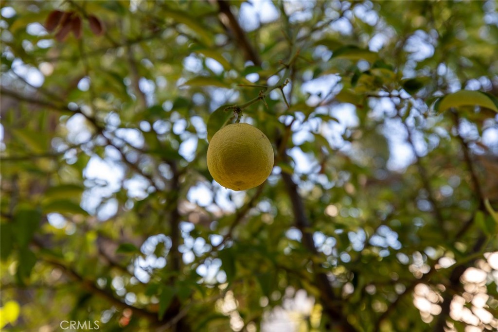 812 814 E Doran Street