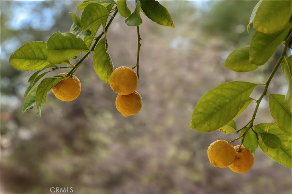 5366 Vista Lejana Lane