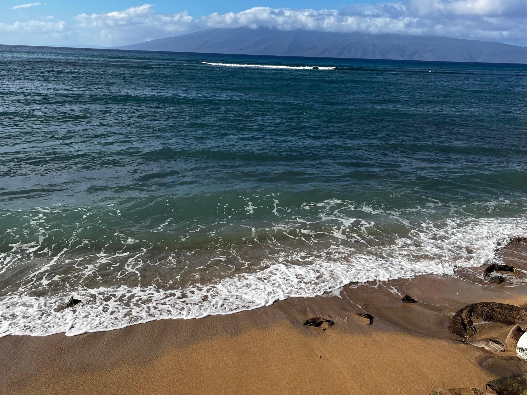 4327 Lower Honoapiilani Rd Unit: 903 B