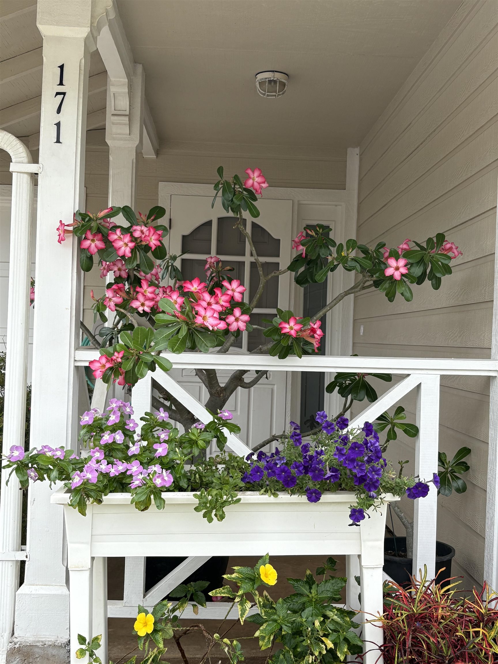 171 Poniu Cir