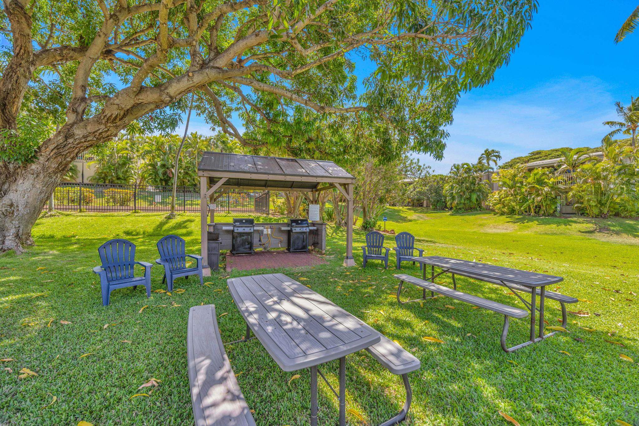 4435 Lower Honoapiilani Rd Unit: 203