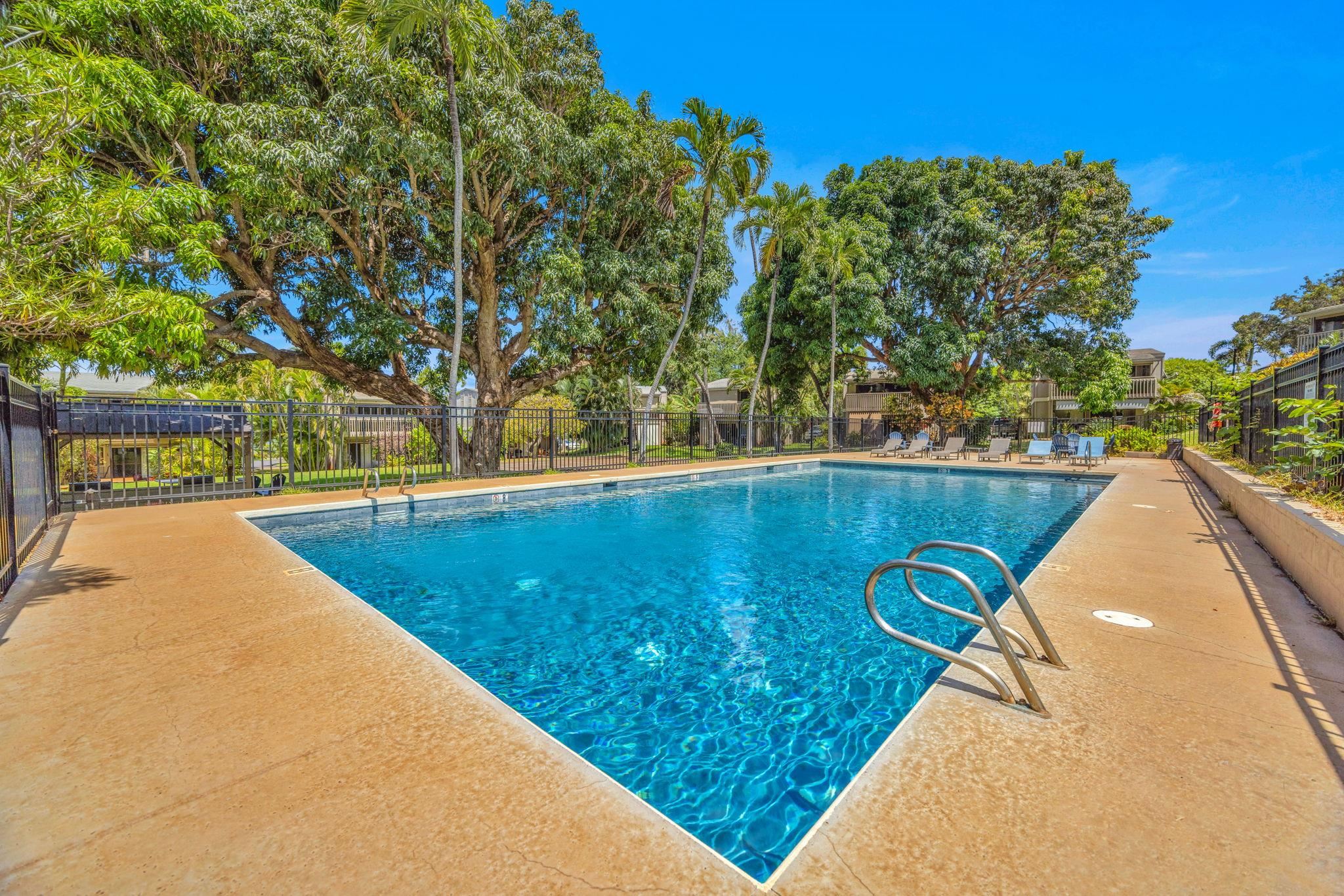 4435 Lower Honoapiilani Rd Unit: 203