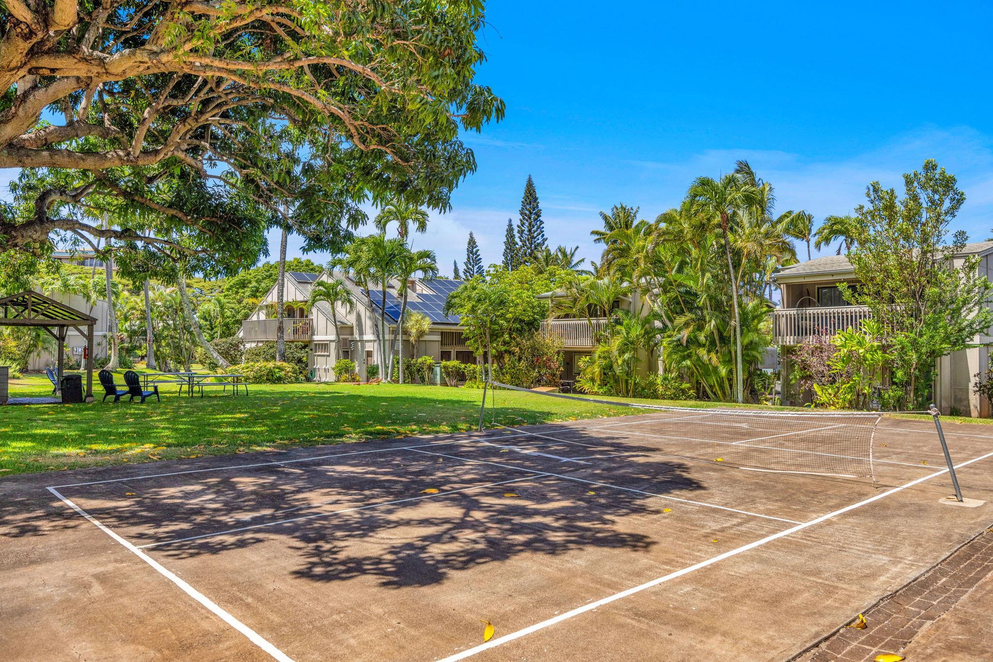 4435 Lower Honoapiilani Rd Unit: 203