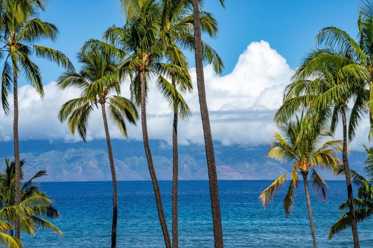 3543 Lower Honoapiilani Rd Unit: J302