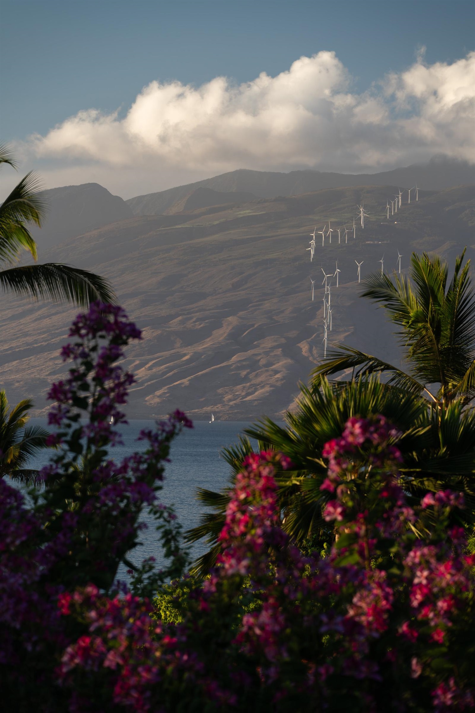 4000 Wailea Alanui Dr Unit: 2003