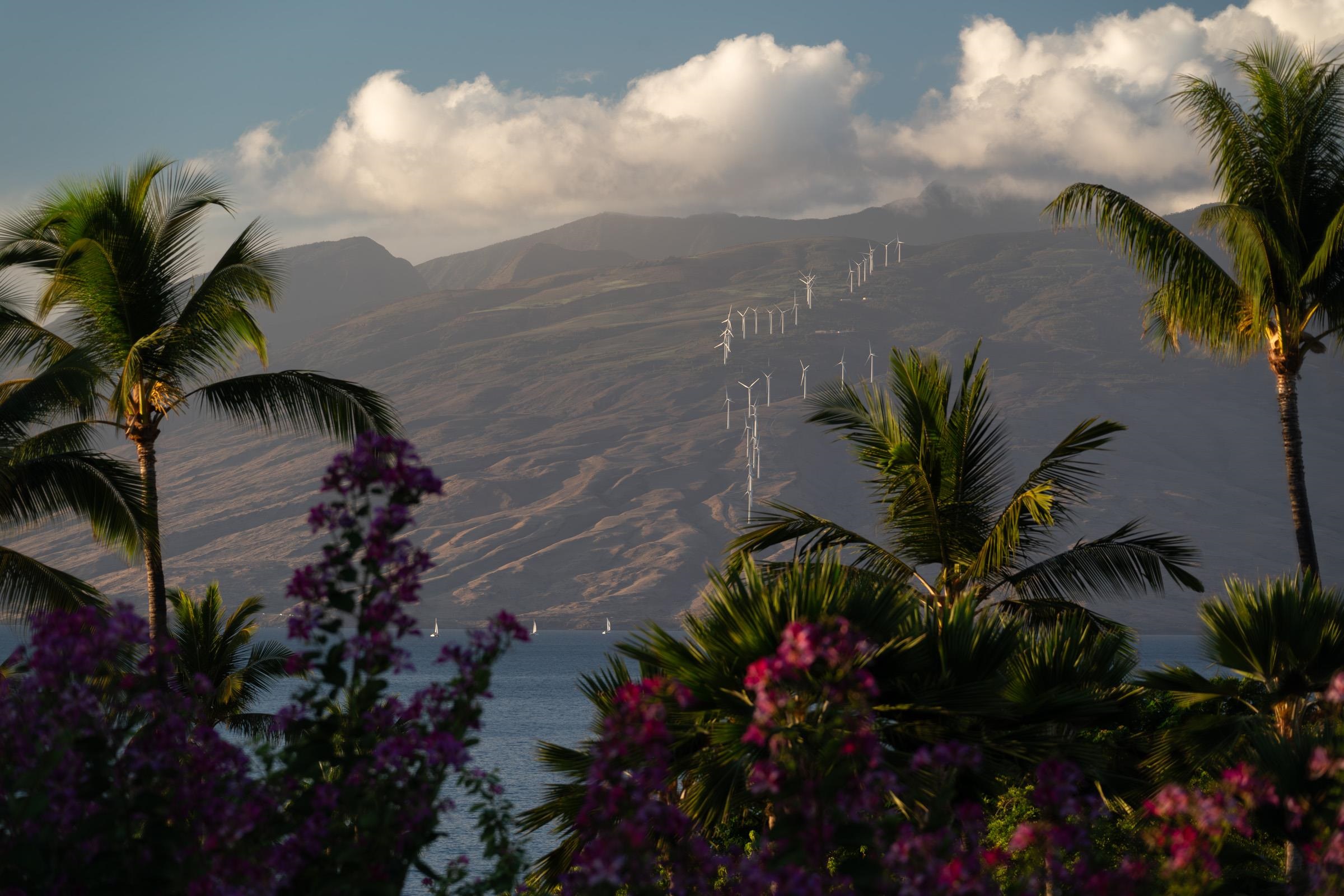 4000 Wailea Alanui Dr Unit: 2003