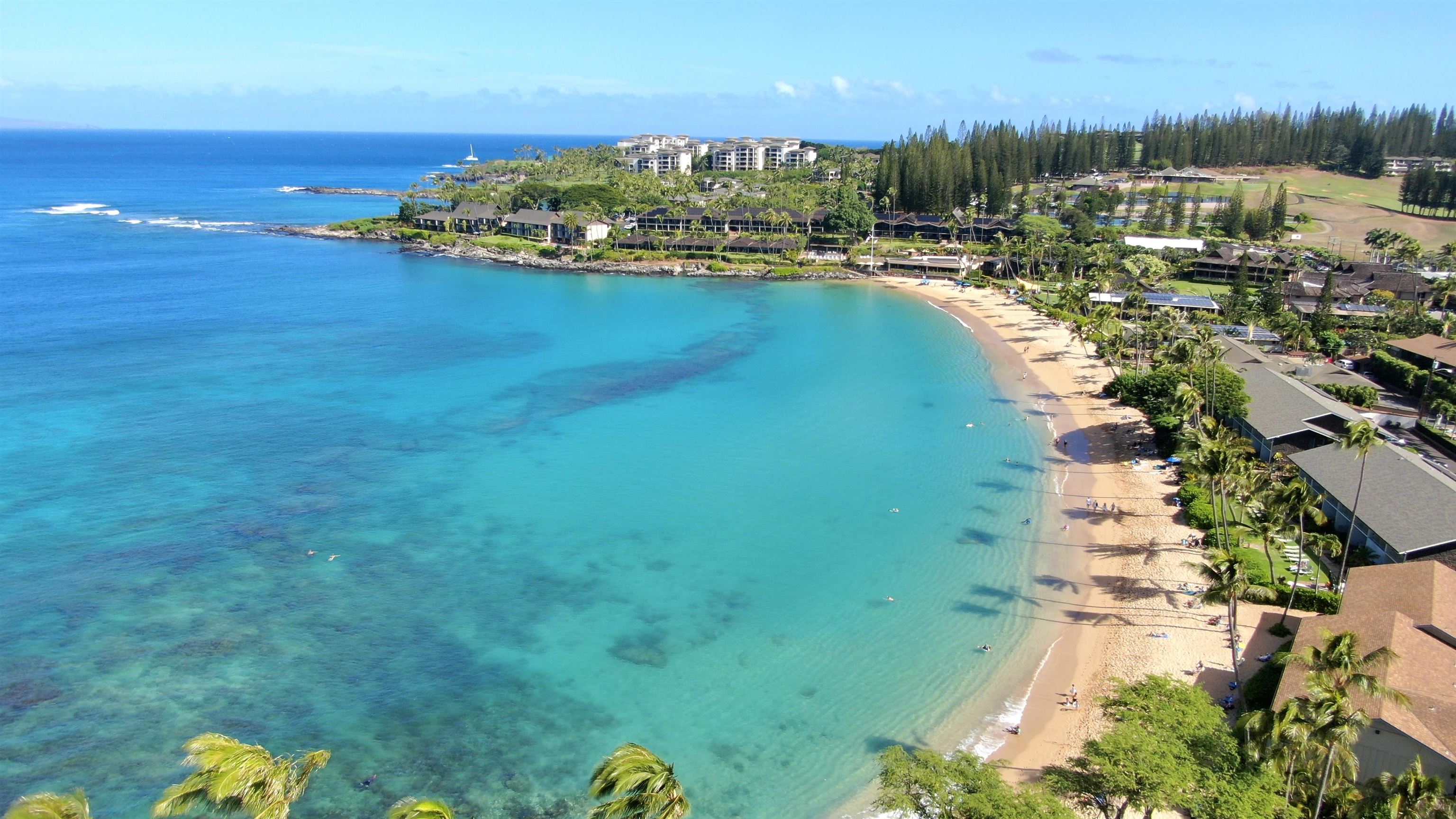 5315 Lower Honoapiilani Rd Unit: D232