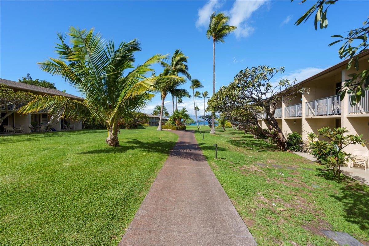 5315 Lower Honoapiilani Rd Unit: D232