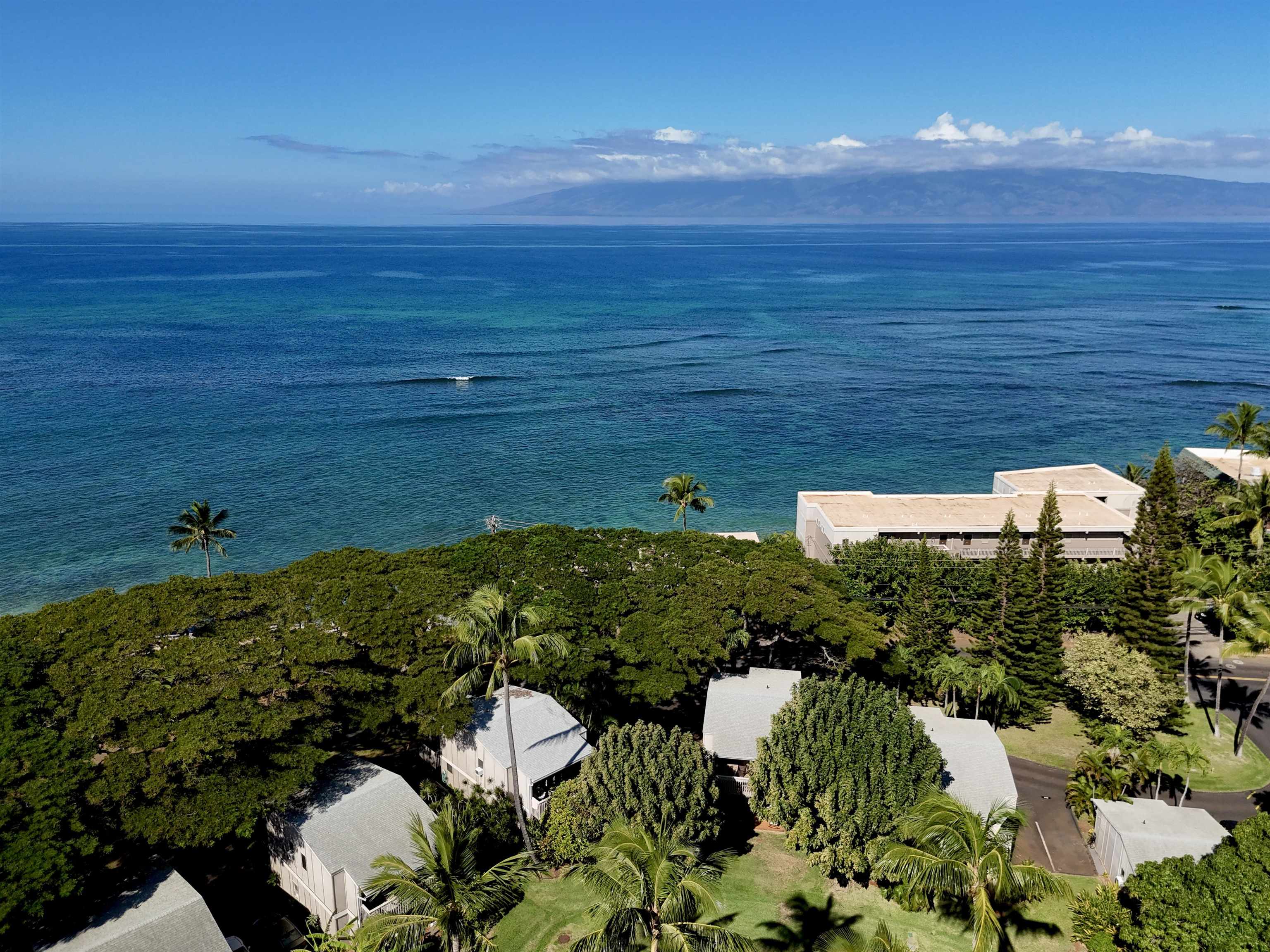 4435 Lower Honoapiilani Rd Unit: 103
