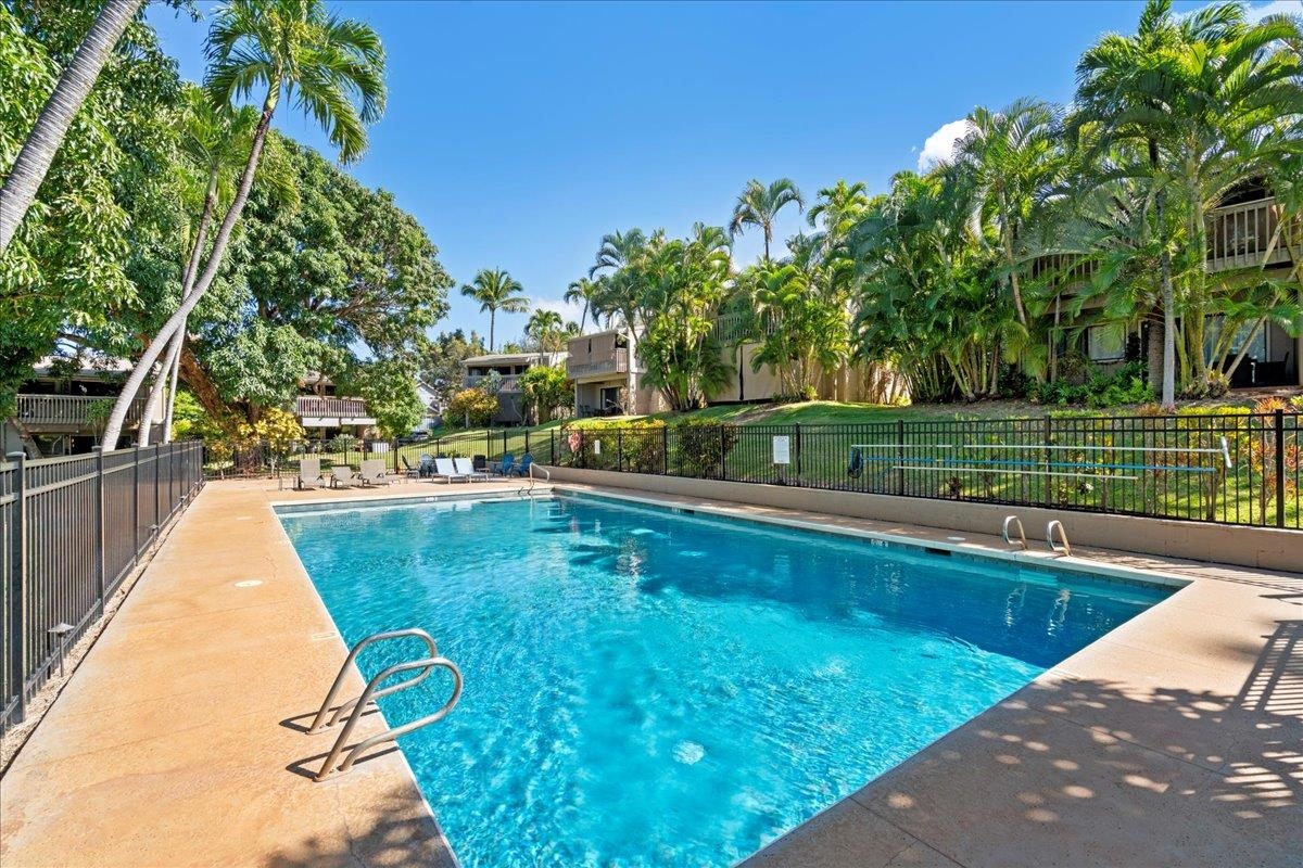 4435 Lower Honoapiilani Rd Unit: 103